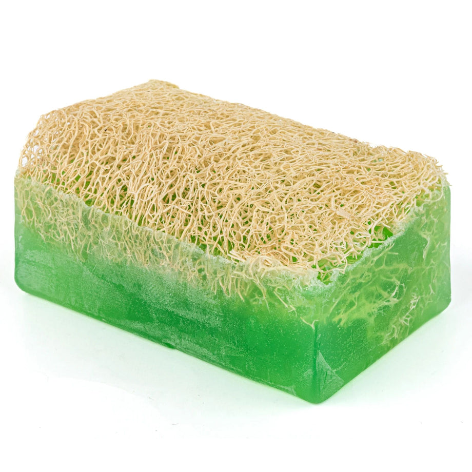 ALOE VERA SEIFE MIT PEELING-SCHWAMM  LaNaturl Europe